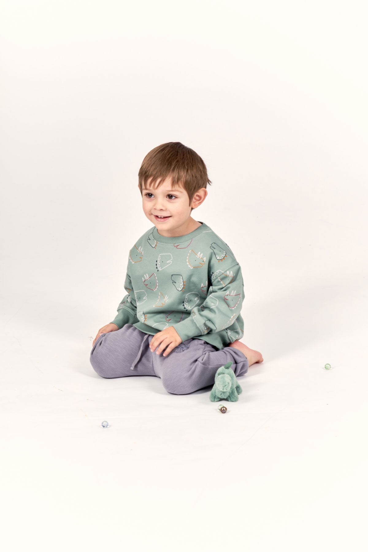 Sense Organics Kinder Sweatshirt Dino Bio Baumwolle