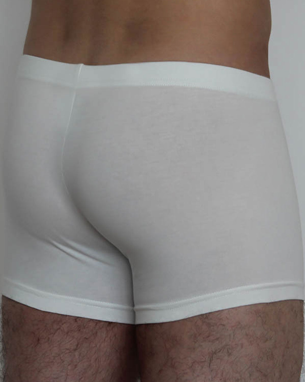 Albero Natur Herren Retroshorts Bio Baumwolle Elasthan