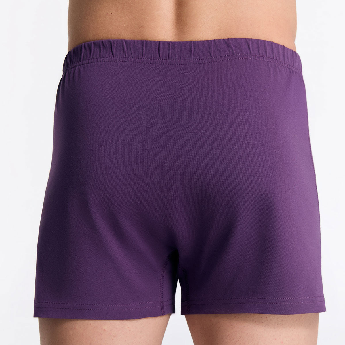 Albero Natur Herren klassische Boxershorts Bio Baumwolle
