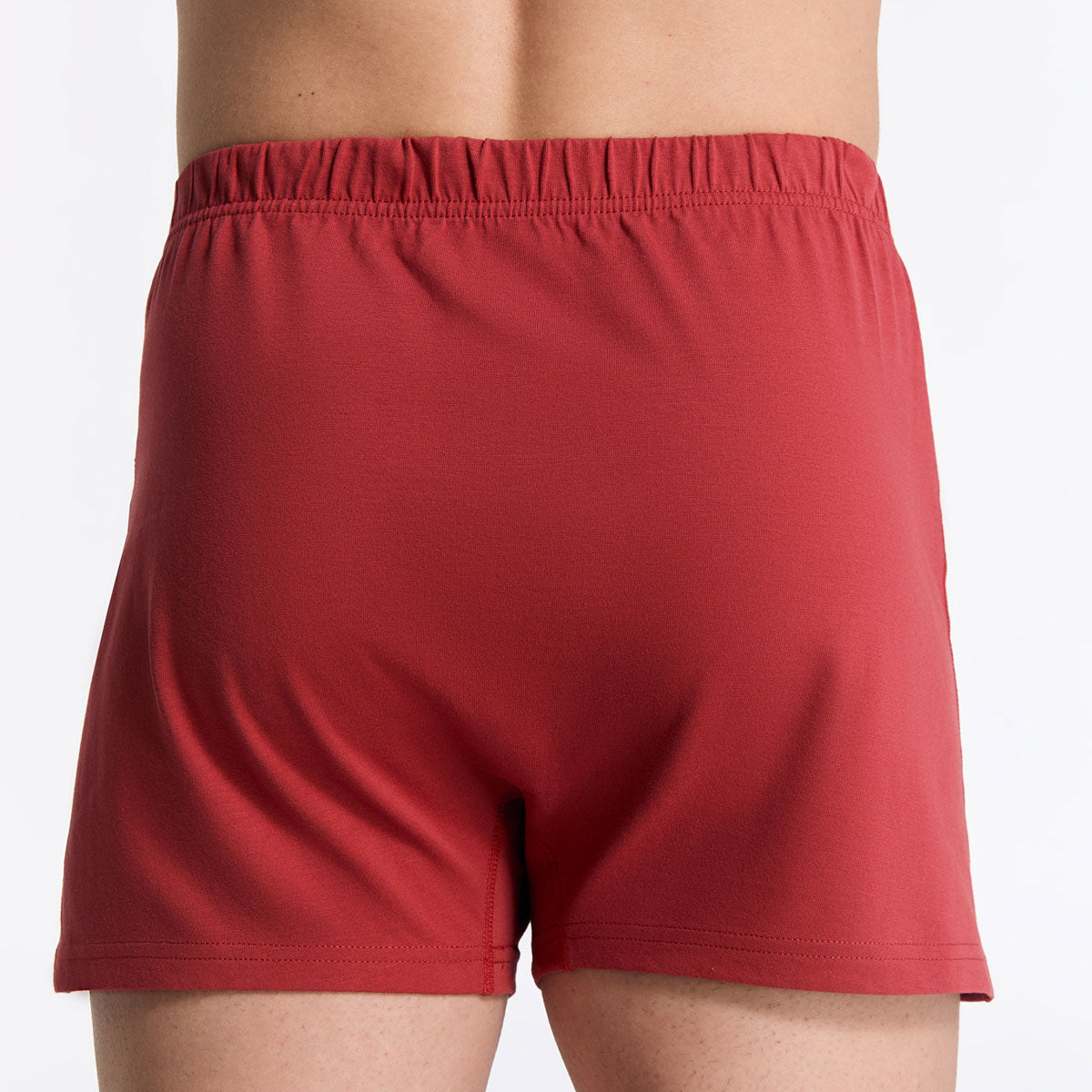 Albero Natur Herren klassische Boxershorts Bio Baumwolle
