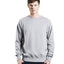 Herren Raglan Ärmel Sweatshirt Bio Baumwolle