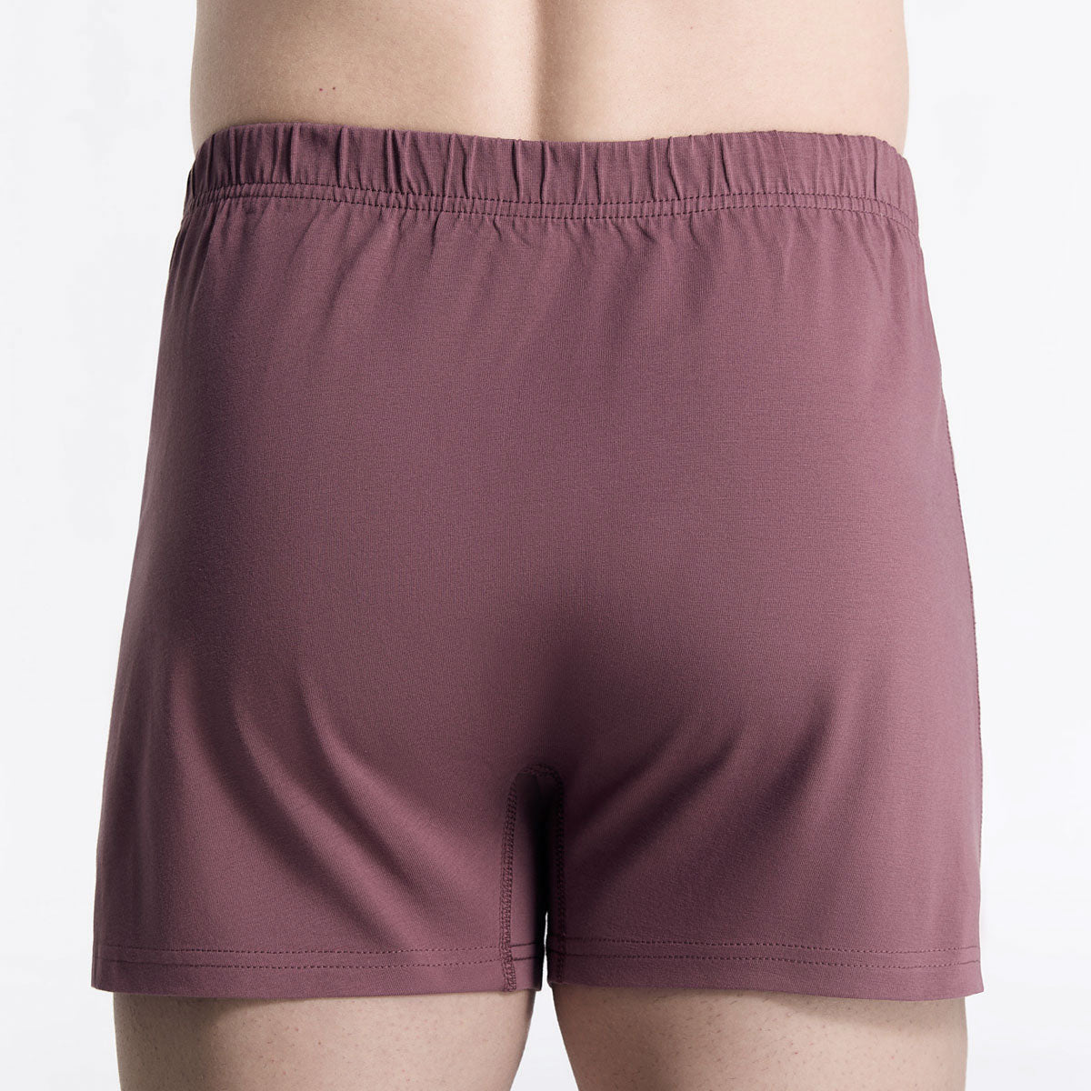 Albero Natur Herren klassische Boxershorts Bio Baumwolle